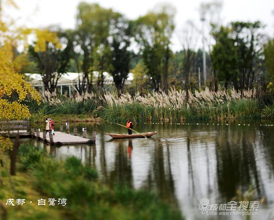 2015年 鸟瞰你从未见过的成都