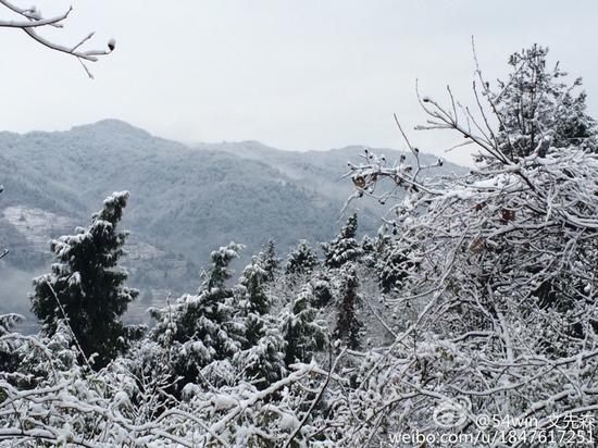 瑞雪兆丰年 四川多地迎来2015年第一场雪
