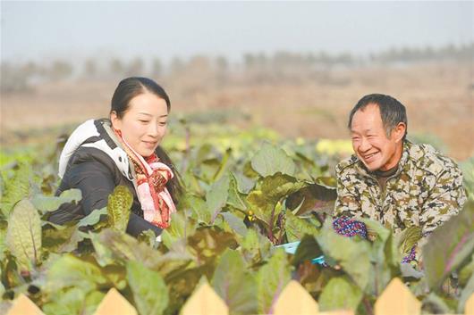 图为：不少市民选择在郊区包下一小块地，订制蔬菜