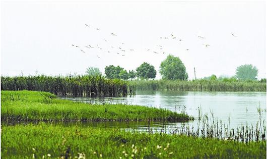 图为：后官湖近景