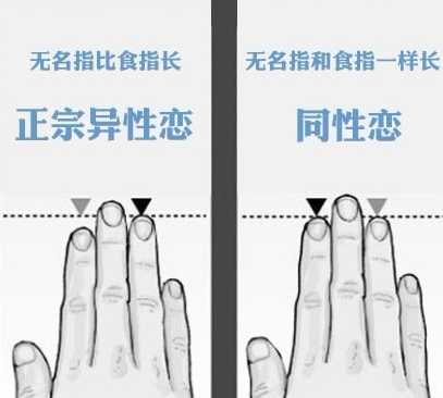 囧哥说事150109：狗狗坑队友,每天关闹钟