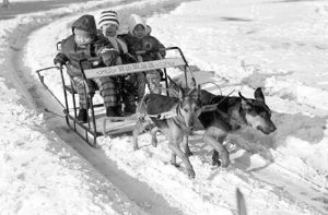 溯源老长春冰嬉雪趣 揭秘古代如何冰上蹴鞠