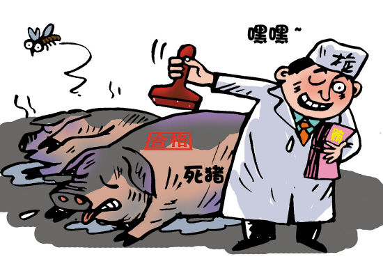 病死猪肉如何流出:生猪保险理赔猫腻频出