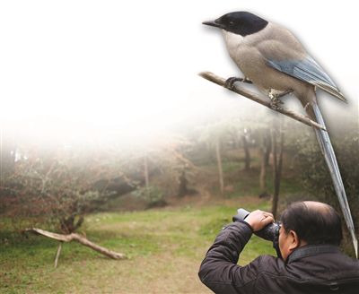 拍鸟摄影人图片 axixtqs0028015.jpg