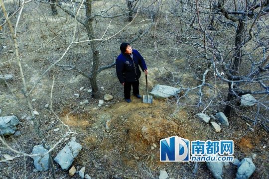 71岁的张焕枝站在儿子聂树斌的坟头。儿子被枪毙已经快20年，“一案两凶”被曝光也已近十年，她仍在等待。南都记者 郭现中 摄