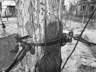 长春一车主真霸道 9把连环锁占车位