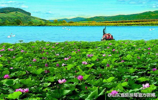 滕州红荷湿地(图片:@山东省旅游局)