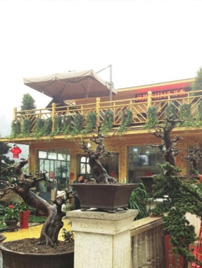 贵阳最大花卉市场 新天花卉大世界正式迎客