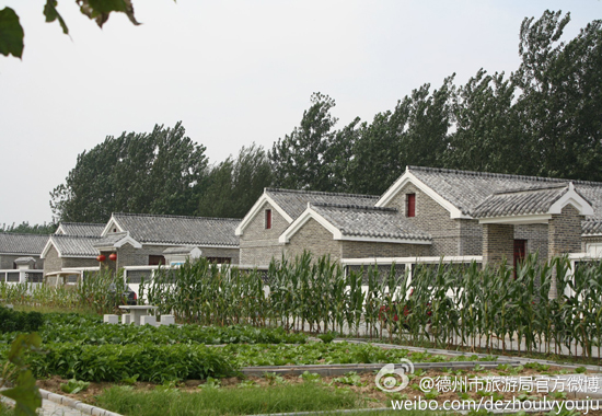 图:@德州市旅游局