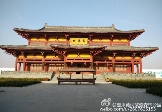 图:@夏津黄河故道森林公园