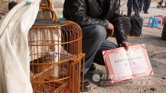在这场比赛中夺得头名的画眉。