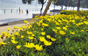 今起宁波气温大跳水 一月底或将迎来初雪