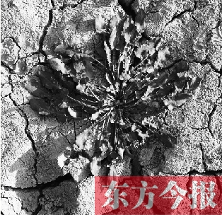2014年入春偏早