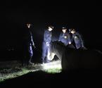 文物稽查人員夜巡帝王陵