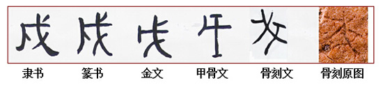 骨刻文“戍shù”字演变五体