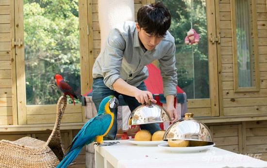 《奇妙的朋友》黄轩:与猩猩<em>同居的日子</em>|黄轩|同