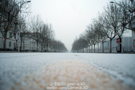石家庄下雪引网友欢呼 地面白茫茫一片浪漫唯美_新浪河北_新浪网