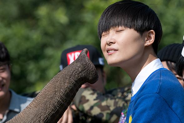 奇妙的朋友开播 大咖明星组团夺动物初吻