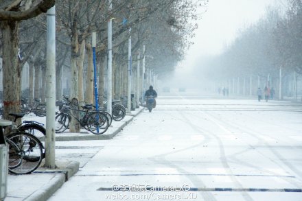 石家庄下雪引网友纷纷拍照 欢呼:终于开眼了_新浪河北_新浪网
