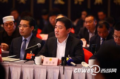 省人大代表郑小平对网友关心的西安出租车问题谈了自己的看法和建议。