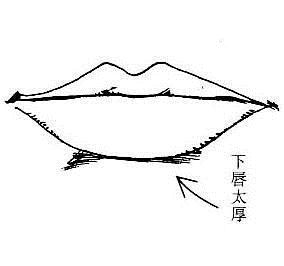 八卦命理：下唇太厚易招小人(图)