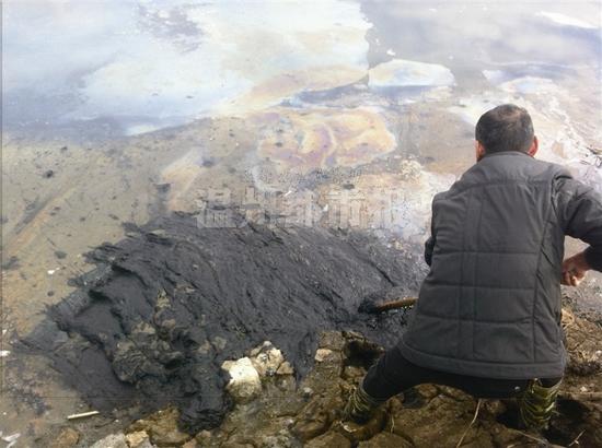 苍南施工单位私自向农田倾倒污泥 重金属超标