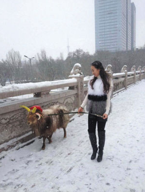 美女街头雪中遛羊 网友赞姑娘这么任性(图)