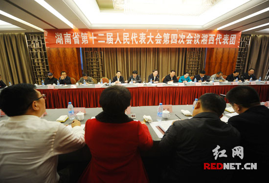 (湖南省第十二届人民代表大会第四次会议湘西自治州代表团举行分组审议。)