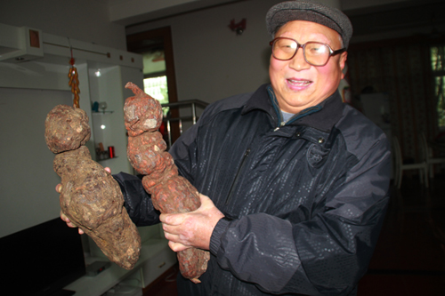 卢吉安说,短的这个生长期在500年左右,而长的那这个生长期也应该有400年。