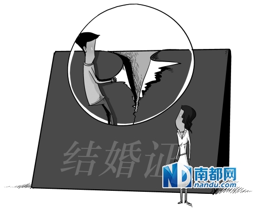 C FP供图