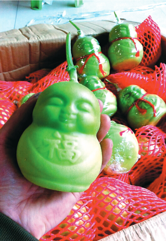 张贤东从海南寄过来的人形甜瓜。
