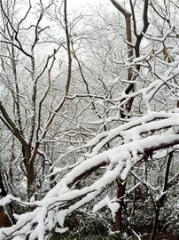 今天锡城雨雪量或中等 宜兴部分地区大到暴雪