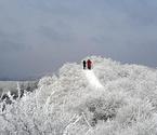 渭北高原的迷人雪景