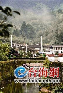 长有800亩长苞铁杉林,全国罕见
