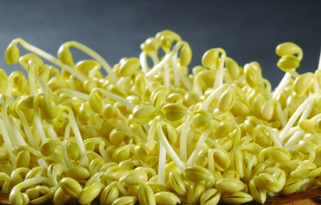 经常便秘怎么办 9类蔬菜解决你便秘问题