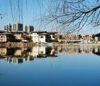 冬日雁鳴湖油畫(huà)般迷人