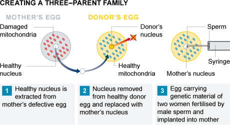 这样的做法由于剔除了生育父母有缺陷的线粒体基因物质，从而让生下的后代可以避免原本是宿命一般的线粒体遗传病，让孩子的父母终于能够生下一个健健康康的宝宝。