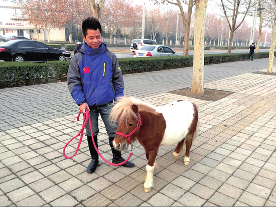 迷你马,萌萌哒！
