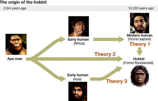 “霍比特人”的演化理论图