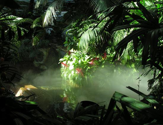 “弗洛勒斯人”现在还存在吗？