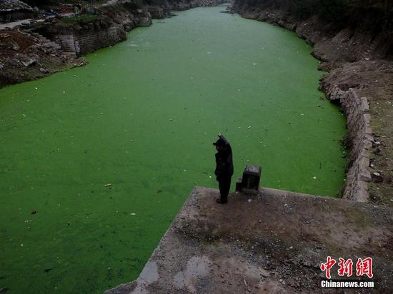 河面漂浮着各种垃圾