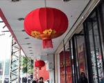 福州城年味渐浓 乌山路挂排排红灯笼