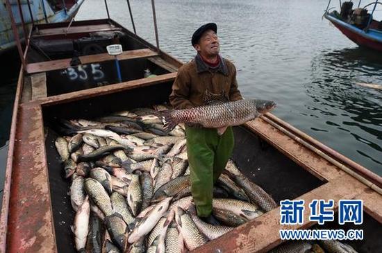 1月30日，在丹江口库区码头准备卖鱼的茅蜡坪村渔民李振忠在自己的渔船上展示20多斤重的草鱼。