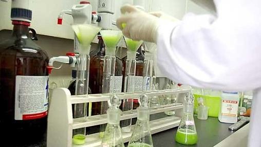 盐水泡蔬菜去农药是什么原理_什么是浓盐水饱和状态