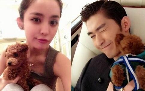 张翰、娜扎曾晒出抱着疑似同一只狗的照片