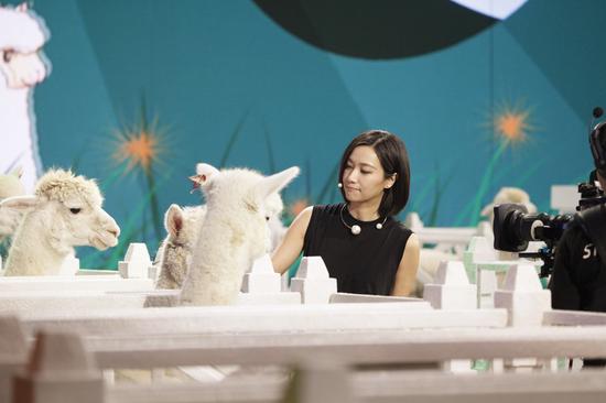 徐静蕾