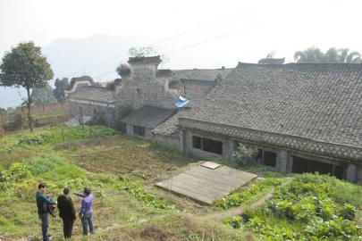 劝回上海女儿当农民 宜宾夫妇年收入400万