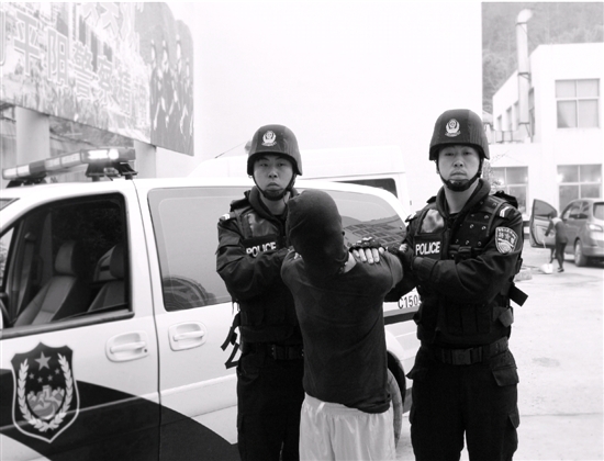 中国温州平阳腾蛟凤巢人口_温州平阳公交车002路