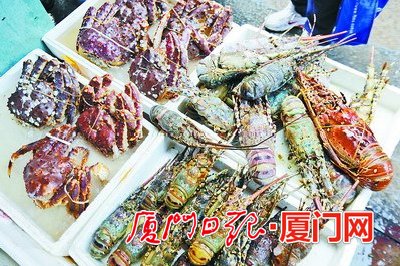 在厦门做海鲜生意_生意难做_农村做什么生意赚钱(4)