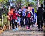 福州鼓山景区频现游客折树枝当拐杖 呼吁文明出游